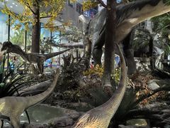 -湖南省地质博物馆