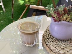 -树咖啡tree coffee