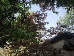 -郑和公园