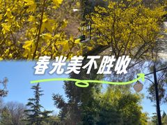 -黄村公园