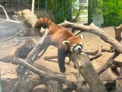 -灵玲国际马戏城