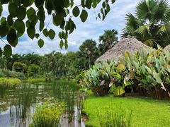 -中国科学院西双版纳热带植物园