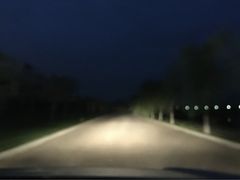iphone_upload_pic-洨河生态公园
