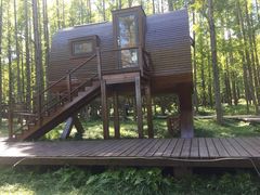 -黄海国家森林公园