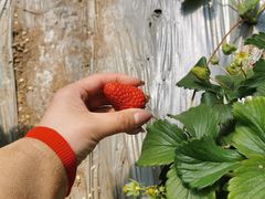 -万源龙顺度假庄园生态观光园