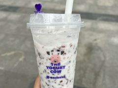 -一只酸奶牛(八一路店)