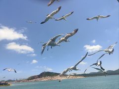 -海驴岛(荣成市)