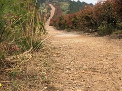 -缥缈峰景区