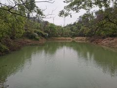-青龙山国家森林公园