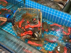 -三妹小龙虾·黄油蟹(华侨城总店)