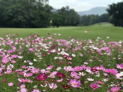 -东莞海逸高尔夫球会