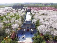 -武汉大学-樱园