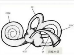 -AudioNova 海之声助听器峰力助听器索诺瓦自营店(北京店)