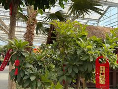 -南宫五洲植物乐园