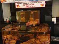 -蟹道乐(道顿堀本店)