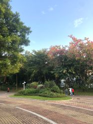 -深圳市儿童乐园