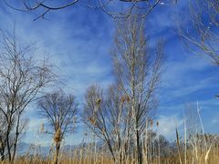 -野鸭湖国家湿地公园