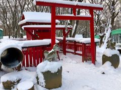 -宫城藏王狐狸村