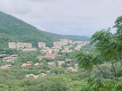 -三亚亚龙湾人间天堂鸟巢度假村