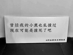 -成都失恋馆
