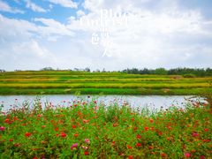 -乌村