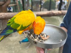 -海合安成都极地海洋公园