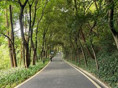 -广州雕塑公园