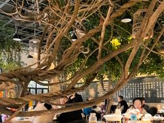 -又见炊烟私房菜(敬亭路店)