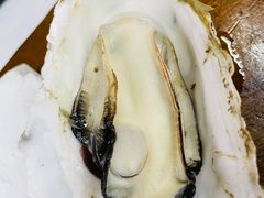 -蚝得喜海鲜(东城店)