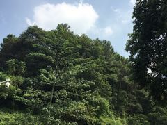 -大雁山风景区
