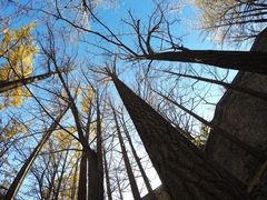 -阳台山自然风景区