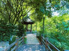 -龙头寺公园