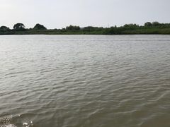 -长兴太湖图影湿地文化园