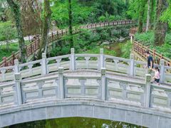 -素山寺森林公园