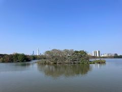 -海珠湖公园