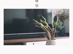 -双季花艺园艺市场(浦东店)