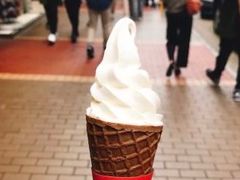 -富豪雪糕车流动点(尖沙咀店)