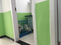 -栢特佳宠宠物医院