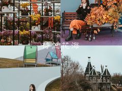-荷兰花海