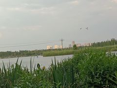 -呈贡滇池生态湿地公园