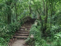 -青龙山国家森林公园