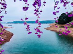 -酒仙湖景区