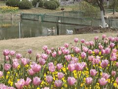 -杭州师范大学(下沙校区)