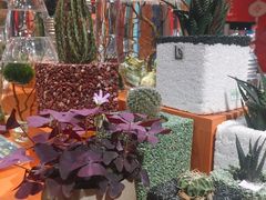 -西西弗书店&矢量咖啡(来福士广场店)