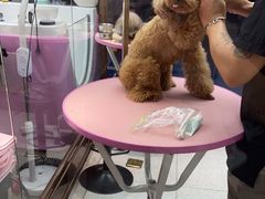 -FAELING PETS美天灵宠物(富力广场店)