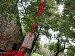 -乌镇西栅景区-月老庙