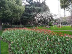 -中共上海市委党校 上海行政学院