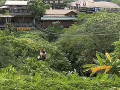 -海南槟榔谷黎苗文化旅游区
