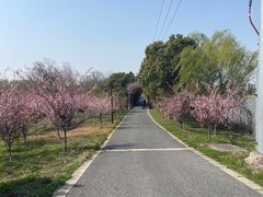 -苏州太湖国家湿地公园