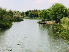 -尚贤河湿地